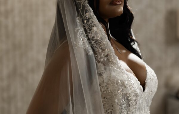 The wedding of Touches of Blue Made This Glam Wedding Special Gallery 0