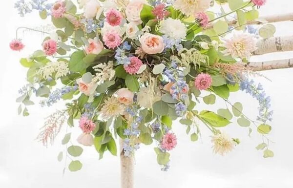 Flowers by Melinda Gallery 3