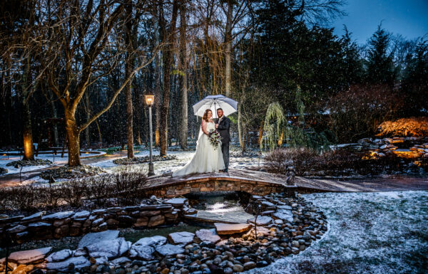 Brigalias Gallery 11