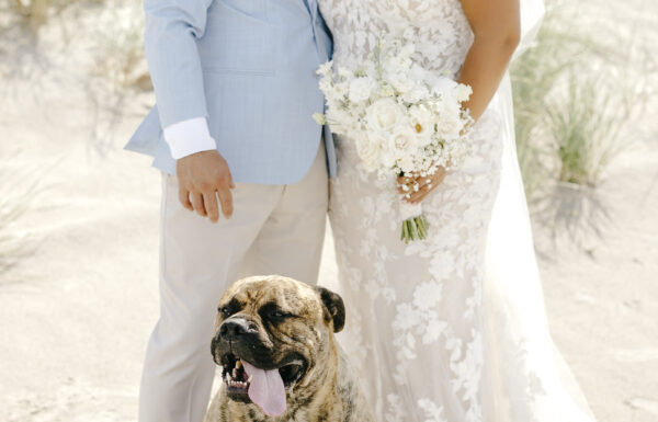 The wedding of A Waterfront Ceremony, Beach Tag Seating Chart and Stunning Sunset Portraits Gallery 2