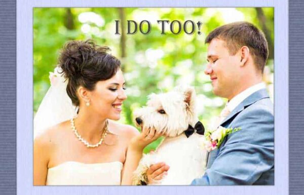 Morris Animal Inn Gallery 0