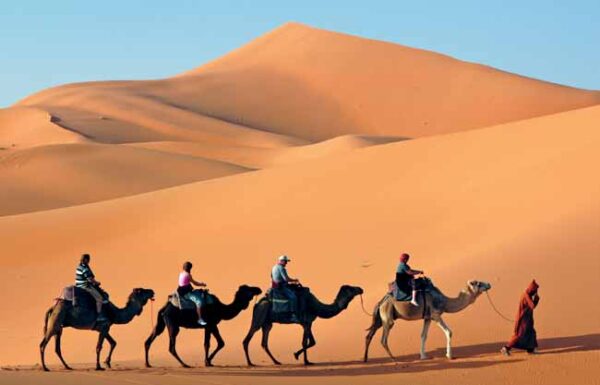 Virtuoso, Ovation Network Gallery 0