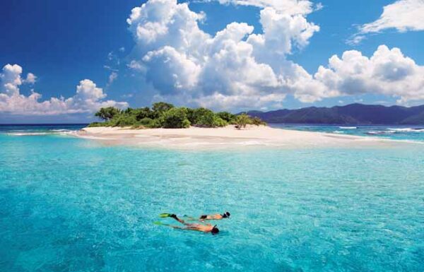 Virtuoso, Ovation Network Gallery 1