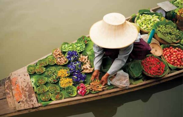 Virtuoso, Ovation Network Gallery 2