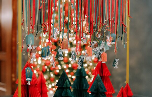 The wedding of A Christmas-Themed Wedding With Timeless Holiday Charm A Christmas-themed wedding at TillingHouse in New Jersey. Gallery 2