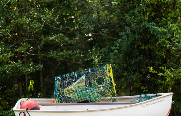 The wedding of This Couple’s Rustic Yet Coastal Venue Also Had a Greenhouse Ceremony Space A Farm on Main wedding. Gallery 13