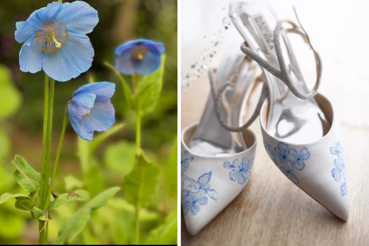 Elizabeth Johns in Morristown, New Jersey works with a local artist to hand paint flowers on your wedding shoes.