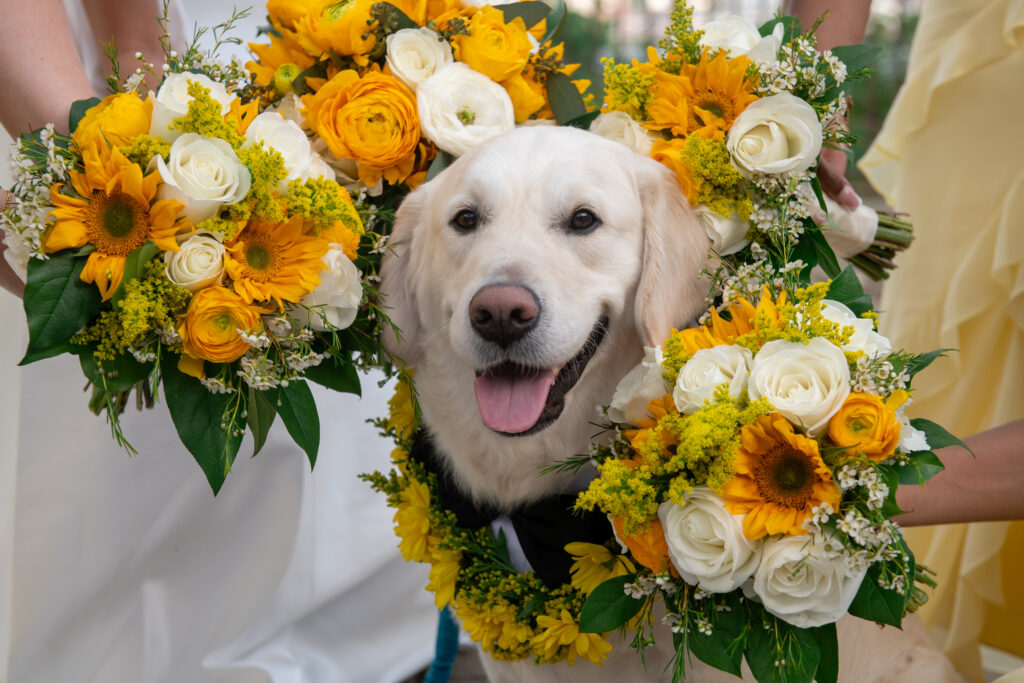 A wedding at Riverview Ballroom in Cliffside Park NJ.