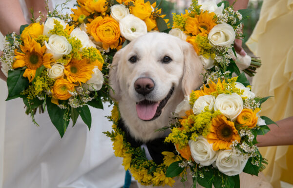A wedding at Riverview Ballroom in Cliffside Park NJ.